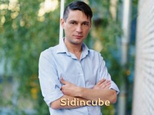 Sid_incube