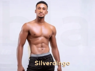 Silverdingo