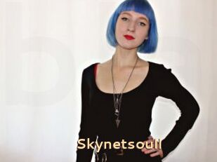 Skynetsoull