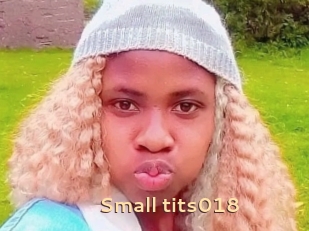 Small_tits018