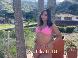 Sofikatt18
