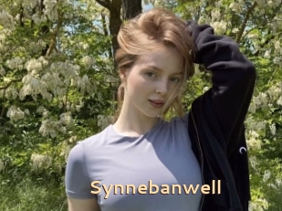 Synnebanwell