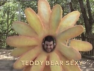 TEDDY_BEAR_SEXY