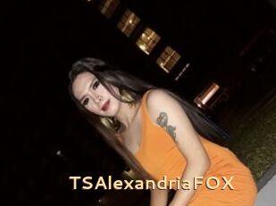 TSAlexandriaFOX