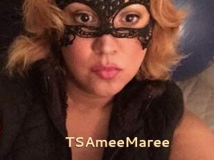 TSAmeeMaree