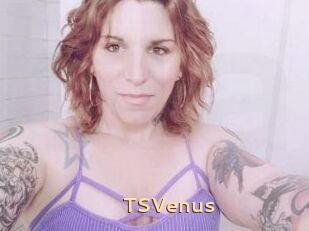 TS_Venus