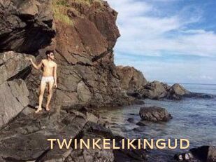 TWINKELIKINGUD