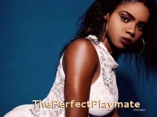 ThePerfectPlaymate
