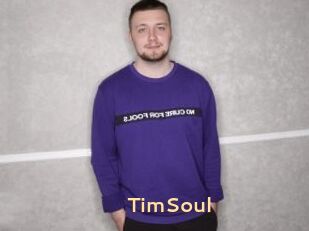 TimSoul