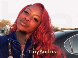 TinyAndrea