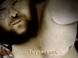 Toyservent