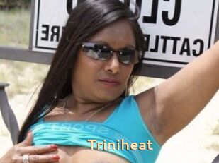 Triniheat