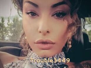Trouble3449