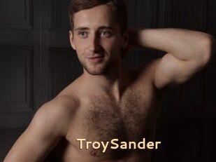TroySander