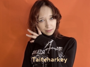 Taiteharkey