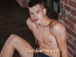 Tambertegen