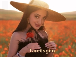 Tamilsgeo