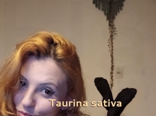Taurina_sativa
