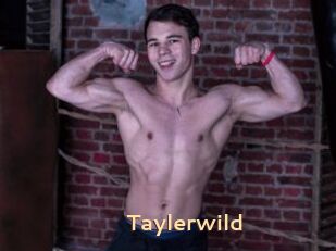 Taylerwild