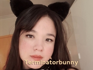 Terminatorbunny