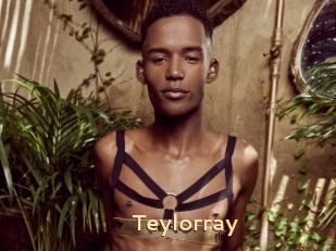 Teylorray
