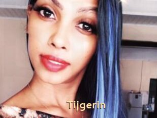 Tijgerin