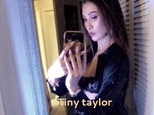Tiny_taylor