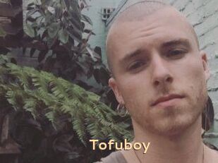 Tofu_boy