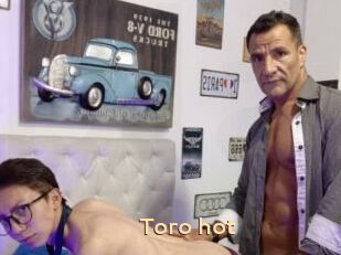 Toro_hot