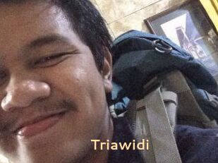 Triawidi
