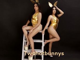 Twohotbunnys