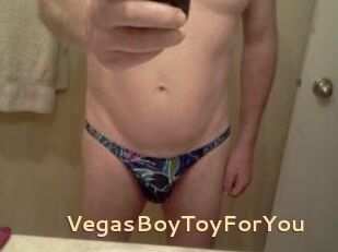 VegasBoyToyForYou