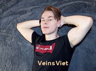 VeinsViet
