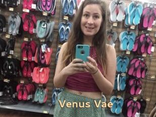 Venus_Vae