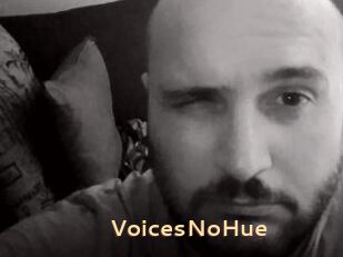 VoicesNoHue