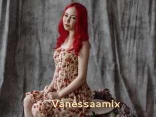 Vanessaamix