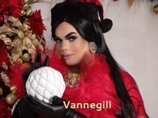 Vannegill