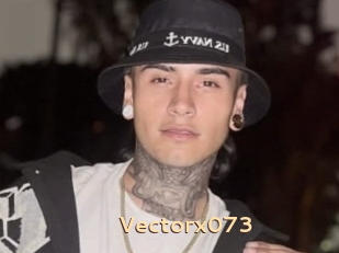 Vectorx073