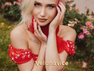 Velunavice