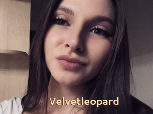 Velvetleopard