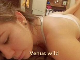 Venus_wild