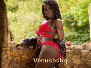 Venusbsbq