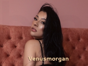 Venusmorgan