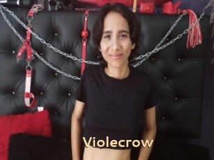 Violecrow