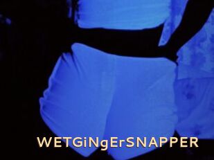 WETGiNgErSNAPPER