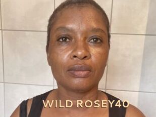 WILD_ROSEY40