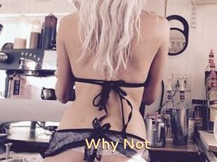Why_Not_