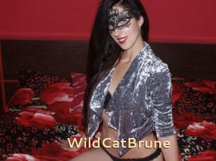 WildCatBrune