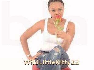 WildLittleKitty22