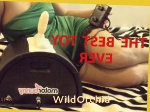 WildOrchid_